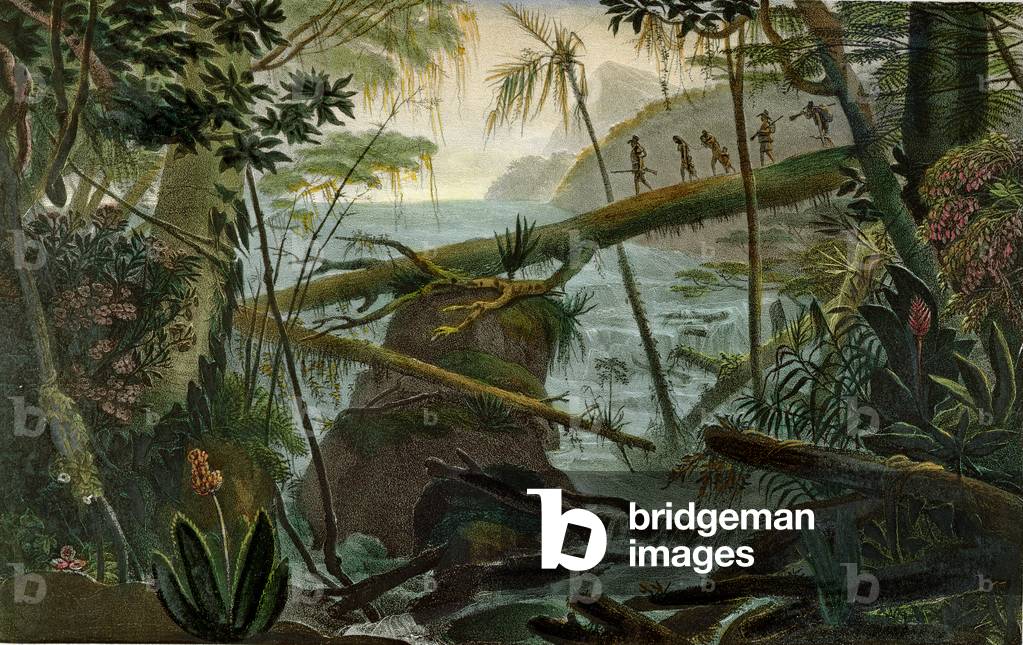 Indians using a Fallen Tree-trunk to Cross the Rio Paraiba do Sul, illustration from 'Voyage Pittoresque et Historique au Bresil' by Jean-Baptiste Debret (1768-1848), published in Paris, 1839 (colour litho)