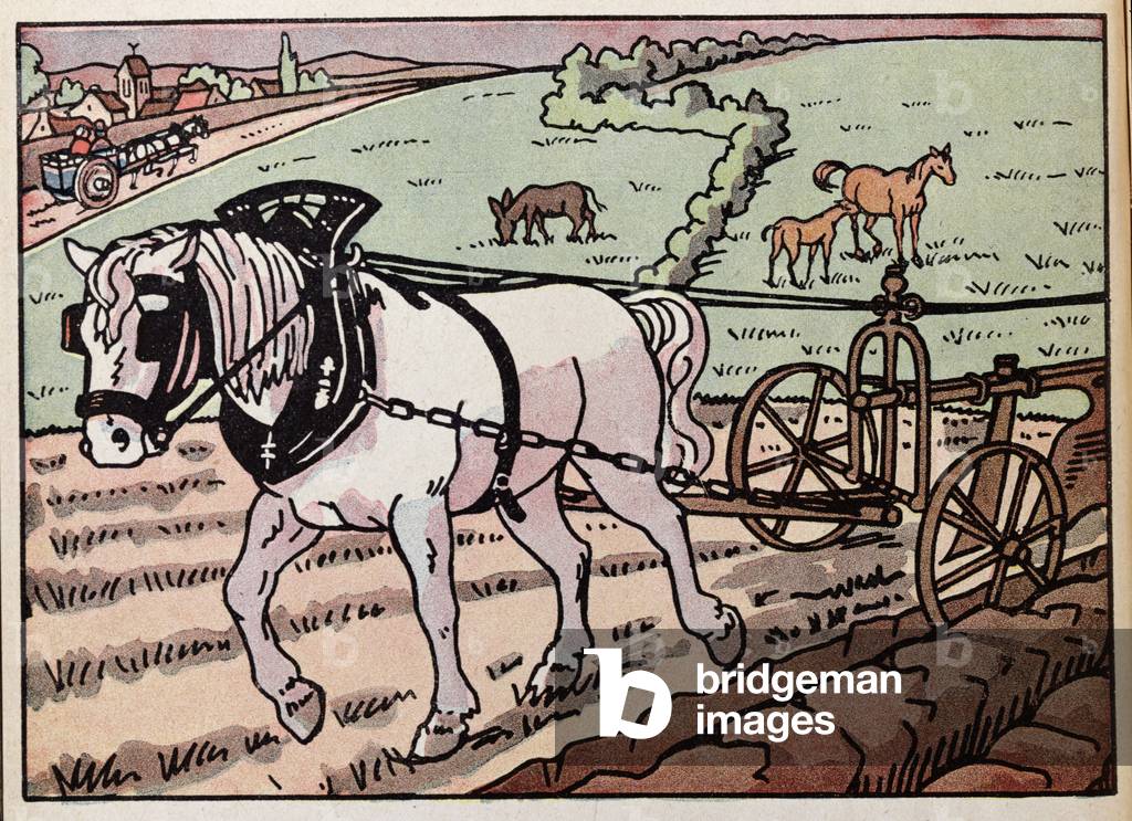 'Aratura', illustrazione per 'Mon Premier Livre de Lecons de Choses' di Paul Delagrave, 1938 (color lito)