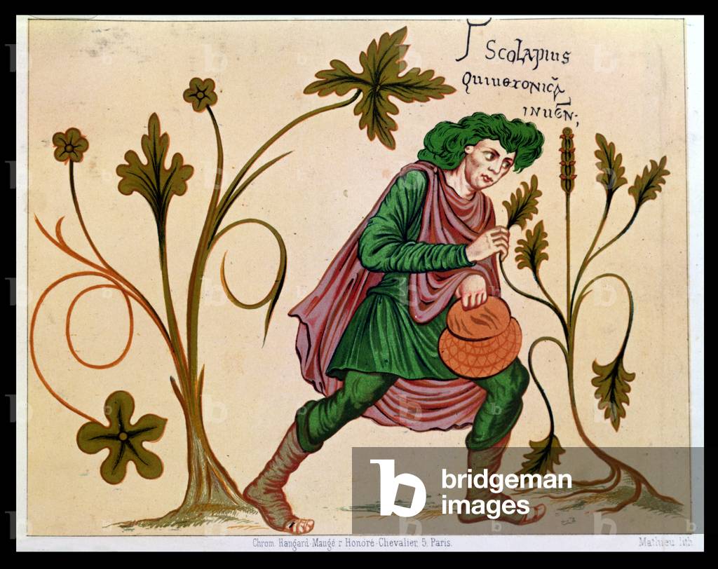 Aesculapius discovering betony, facsimile of a manuscript by Antonius Musa (63 BC-14 AD) (coloured engraving) (see 235101 for original)