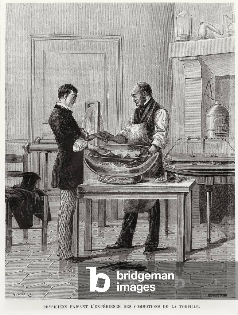 Physicists experimenting on a torpedo, 2nd half 19th century (engraving) (b/w photo)