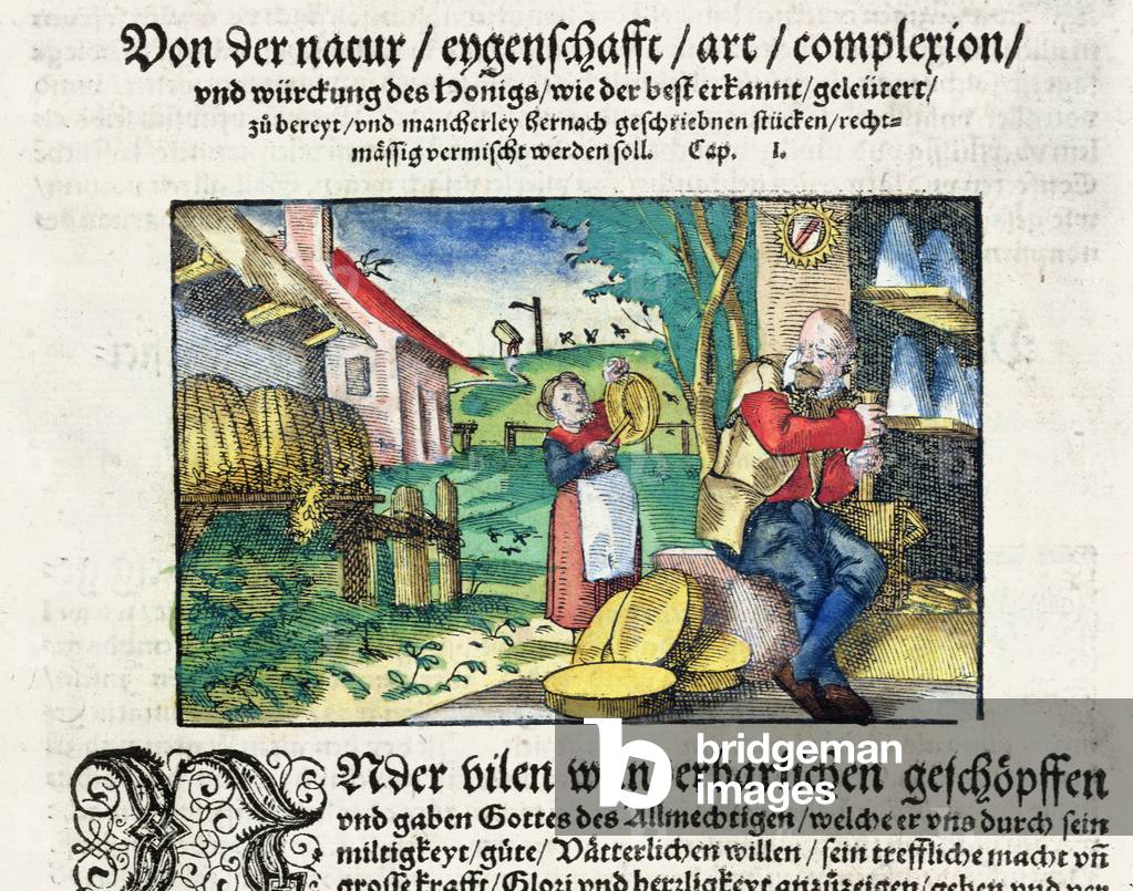 Die heilende und therapeutische Verwendung von Honig in der Medizin, Illustration aus einer 1573 in Straßburg 