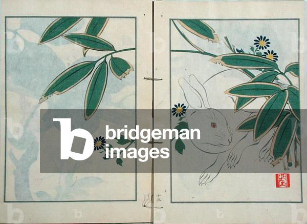 The Rabbit, from a collection of the artist's work published by Kobyashi Bunscichi in 1901 (colour woodblock print)