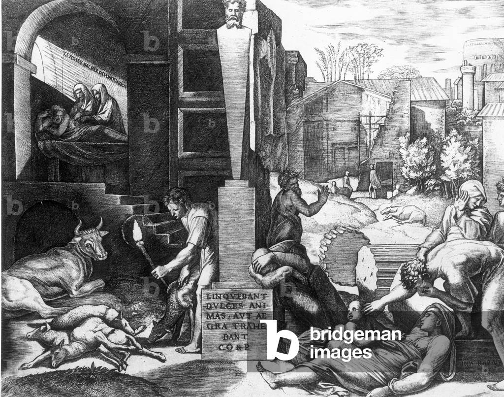 The Plague in Animals and Humans (engraving) (b/w photo)
