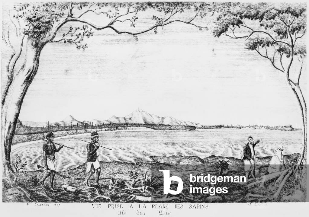 Album of the Isle of Pines, view taken from the Pines' beach, 1877 (litho)