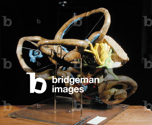 Reconstruction of the inner ear of a human embryo by Dr. Charles Eyries, 1953-60 (wax)