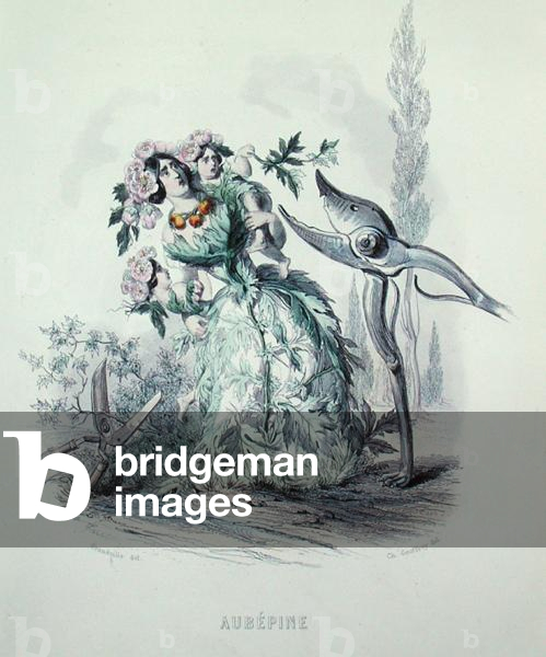 The Hawthorn, from 'Les Fleurs Animees', engraved by Charles Geoffroy (1819-82), 1847 (colour engraving)