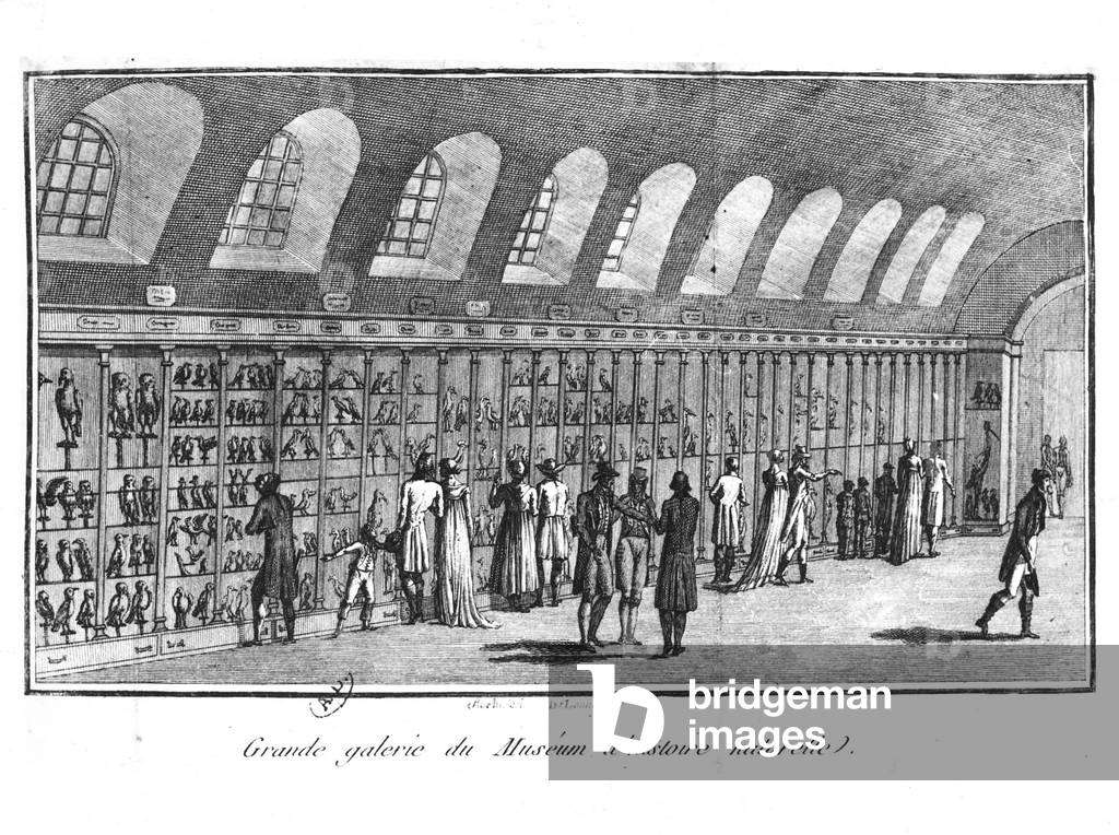 The Great Gallery of the Museum of Natural History in Paris (engraving) (b/w photo)