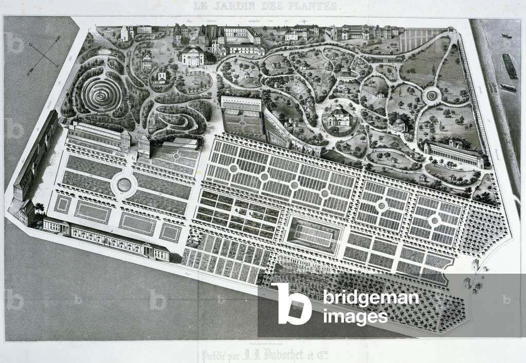 Aerial view of the plan of the Jardin des Plantes in Paris, 1842 (litho)