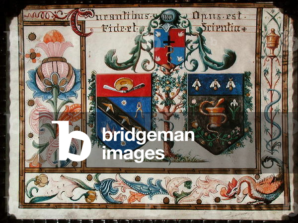 Coats of arms of the barber surgeons and the pharmacists (vellum)