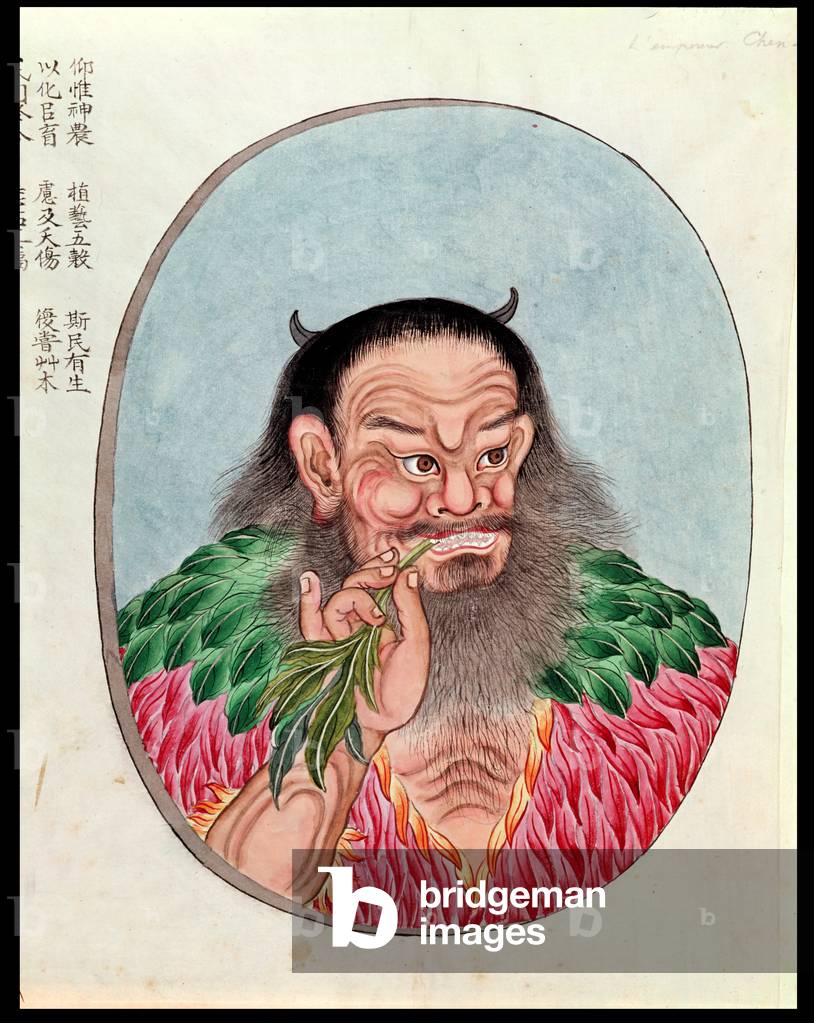 The Legendary Emperor Shen-Nung, illustration from a 'Pen Tsao', 18th-19th century (w/c & ink on paper)