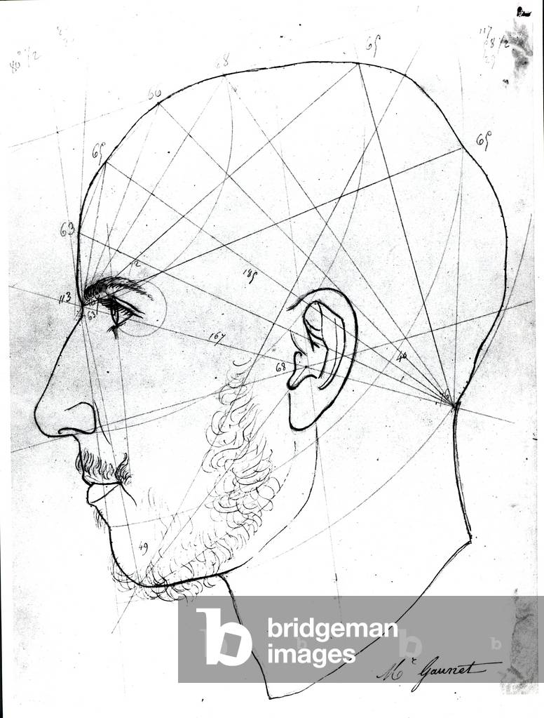 Phrenological study, from a manuscript of Doctor Philippe Jean Pelletan (1747-1829) library (pen and ink on paper)