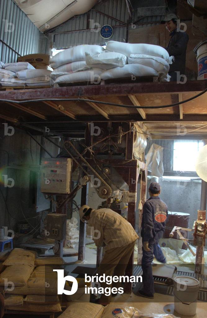 Vietnam 30th Anniversary Fall of Saigon (photo)