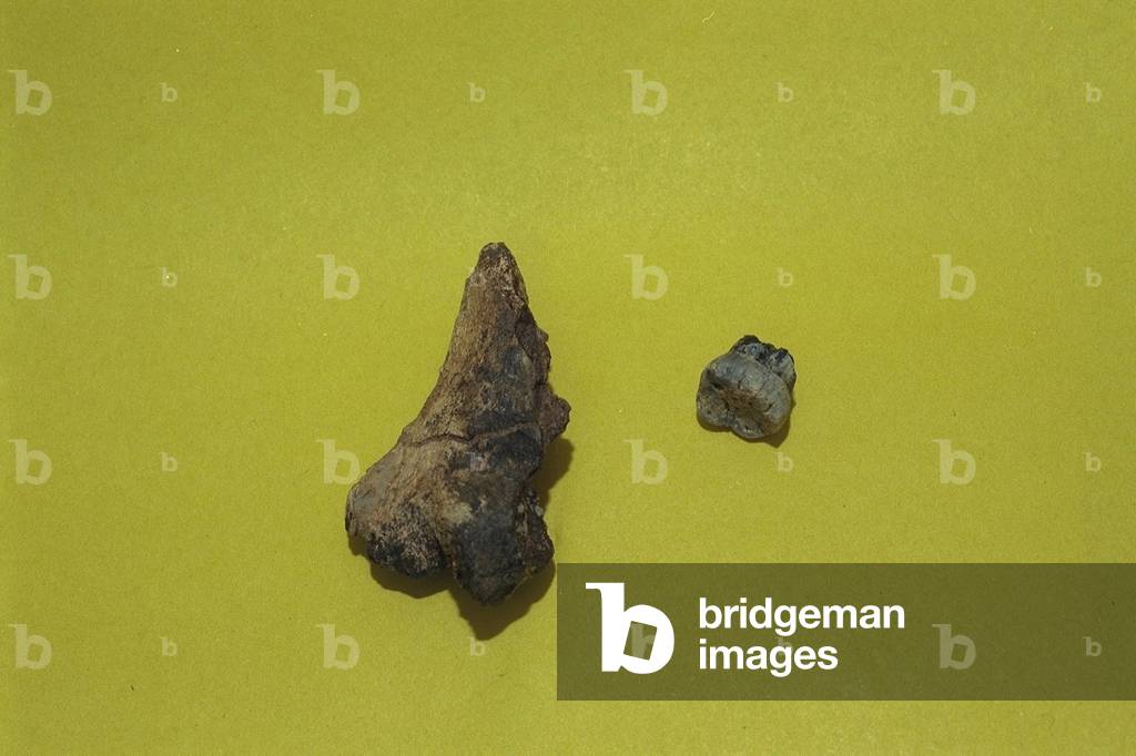 Afrique Ethiopie Prehistoire (photo)