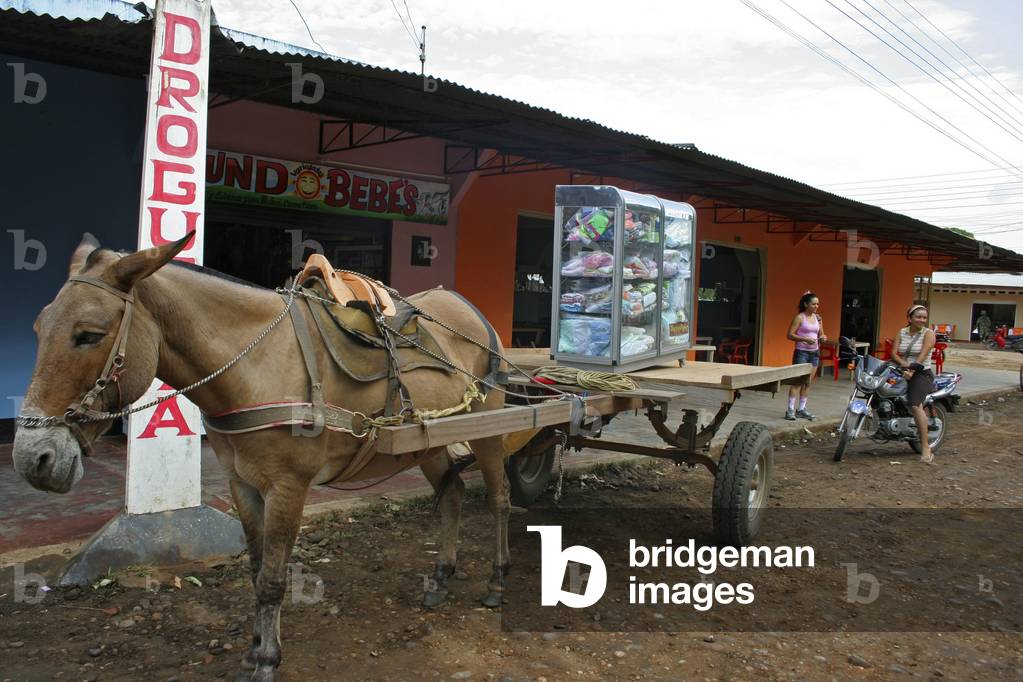 Colombia Macarena (photo)