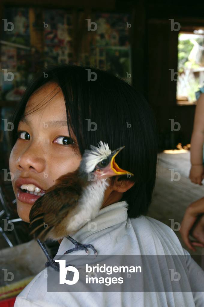 Vietnam : Sapa (photo)