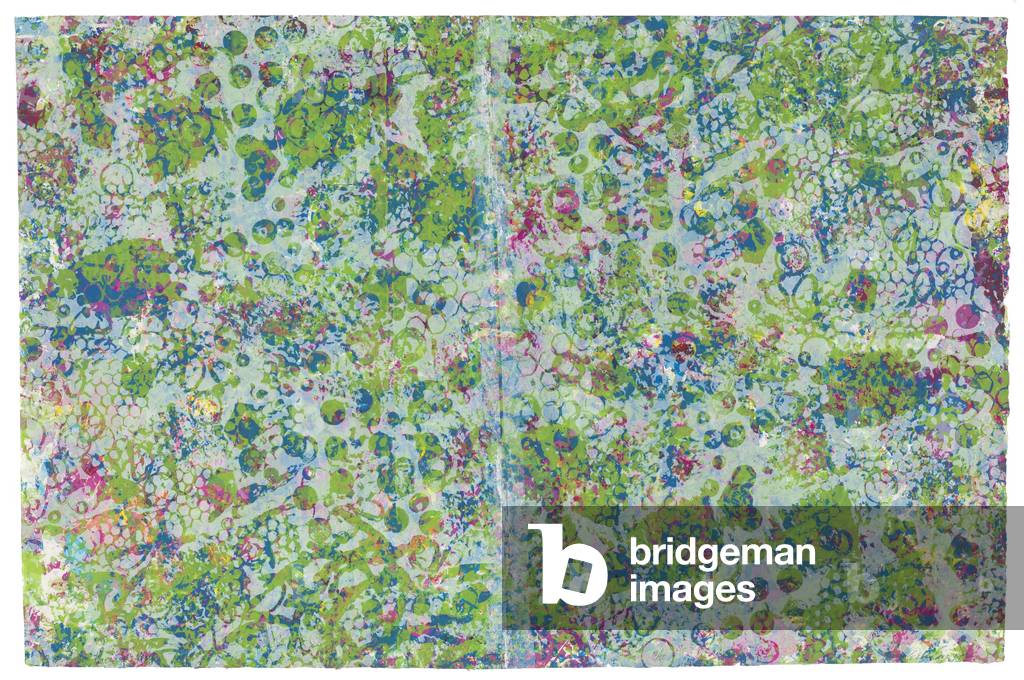 A Fog in the Hollow, 1974 (colour screen print and vacuum formed screen print)