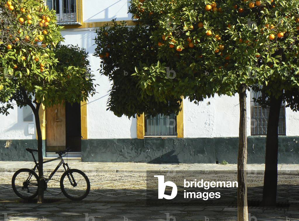 A bicycle is parked in the shade, beneath one of two orange trees on a quiet cobbled street in Seville.