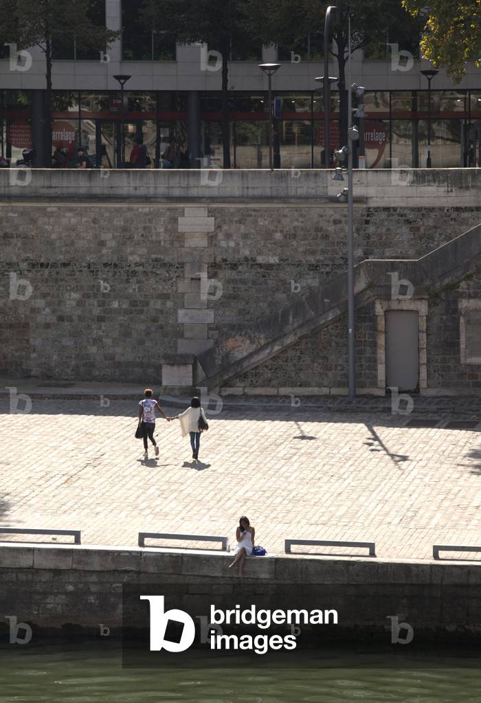Seine banks, Paris 13, France (photo)