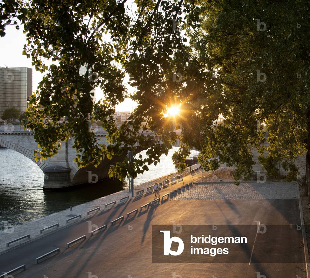 Quais de la Seine, Paris 13, France (photo)