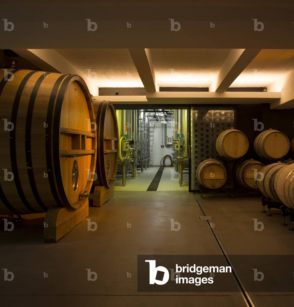 Barrels and steel tanks for the Champagne-production, Maison Mailly winery, Mailly-Champagne, France (photo)