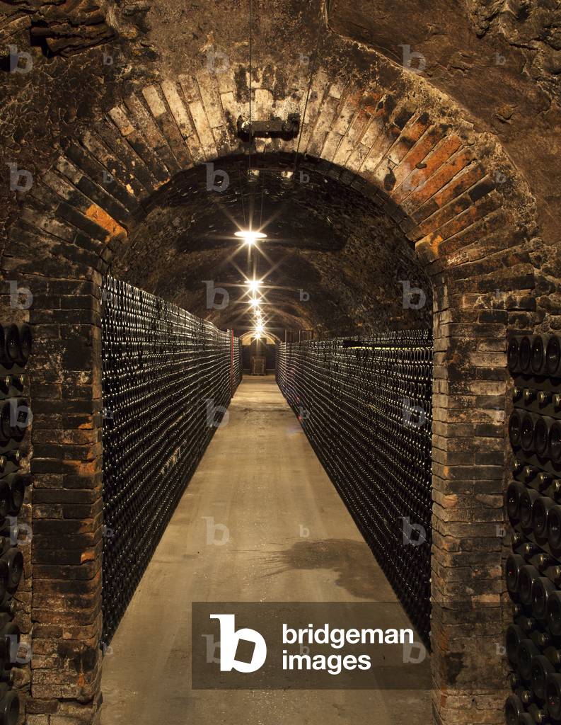 Cellar for Champagne production, Maison Gaston Chiquet, Winery, Crayères, Dizy, France (photo)