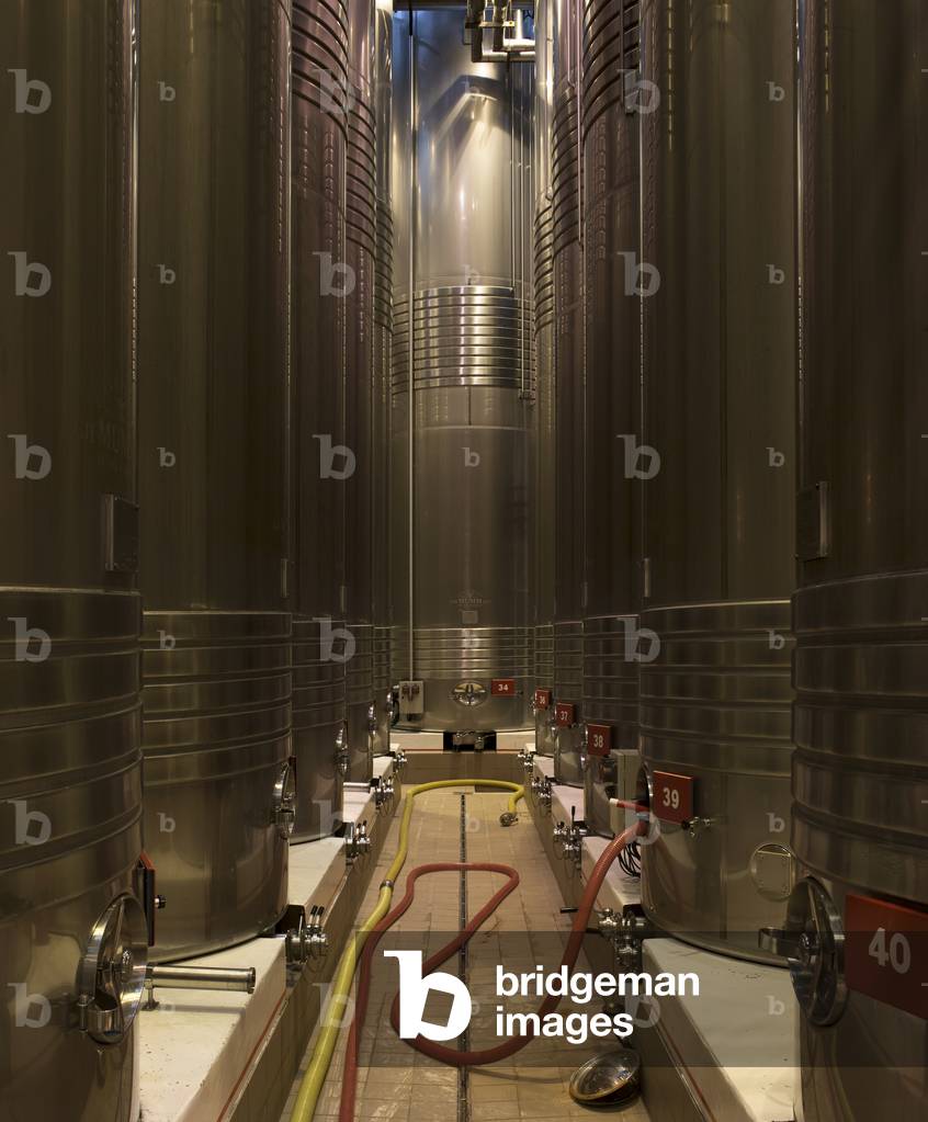 Steel tanks for Champagne production, Maison Mumm Winery, Reims, France (photo)