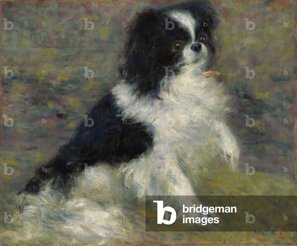 tama il giapponese cane c. 1876 (olio su tela)