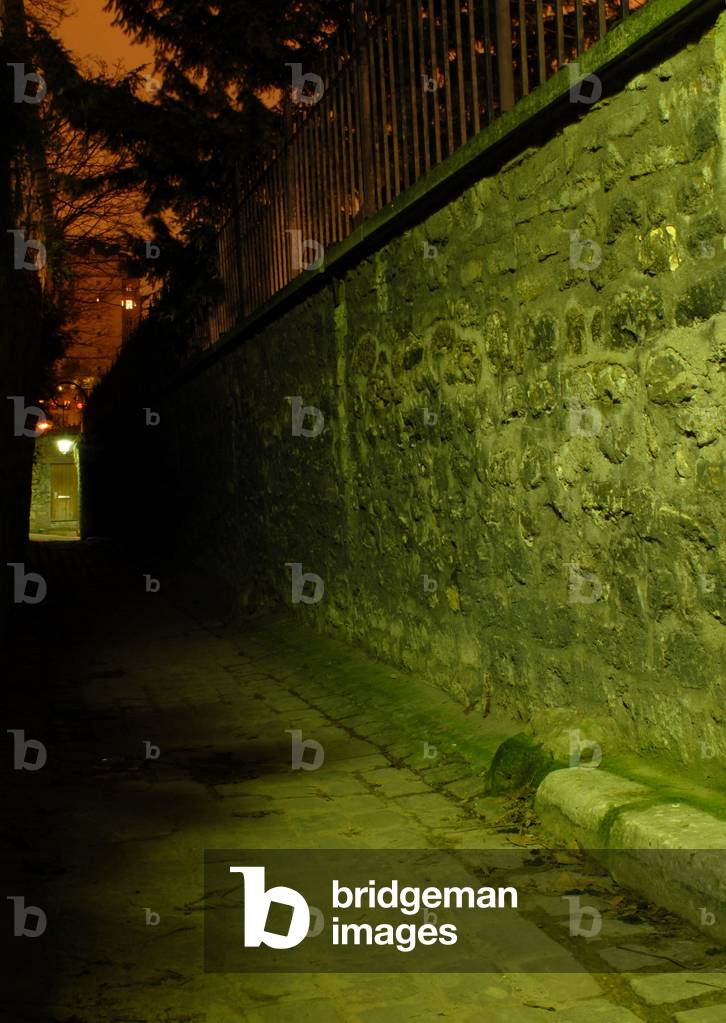 View of rue Berton in Paris by night in 2007.