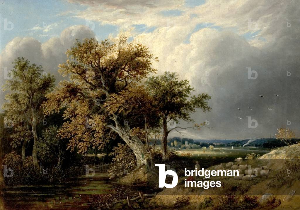 Landscape with Trees and Sheep, 19th century (oil on canvas)