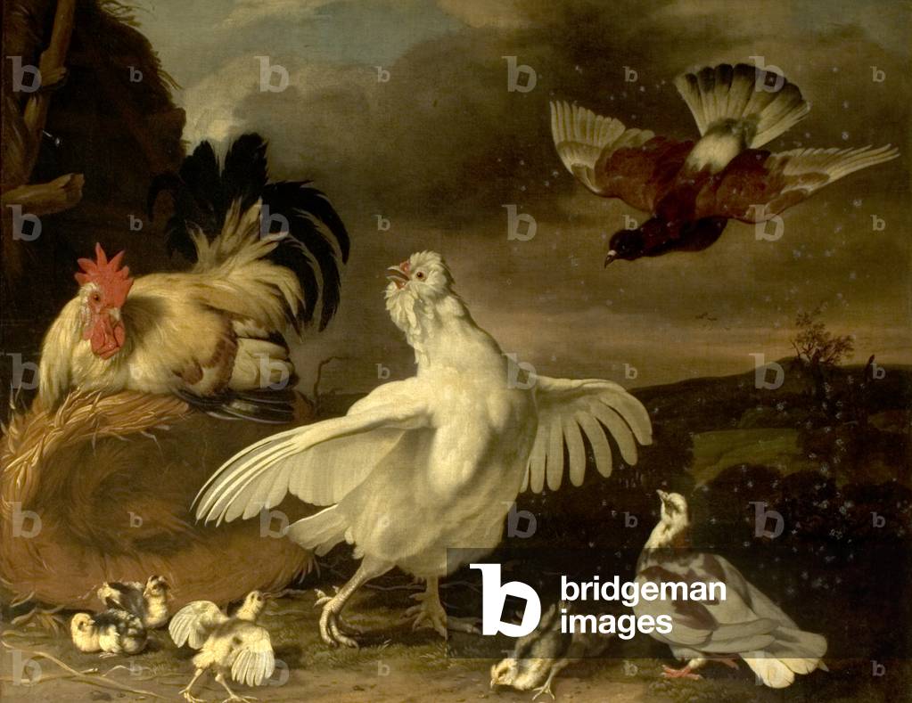Cock and Hen with Chickens and Pigeons (oil on canvas)