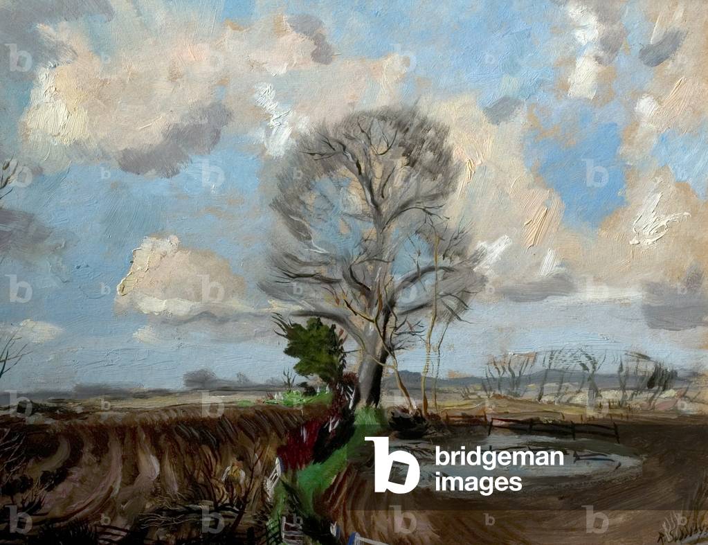Hedging at Cornard Tye, Suffolk, 1950 (oil on board)