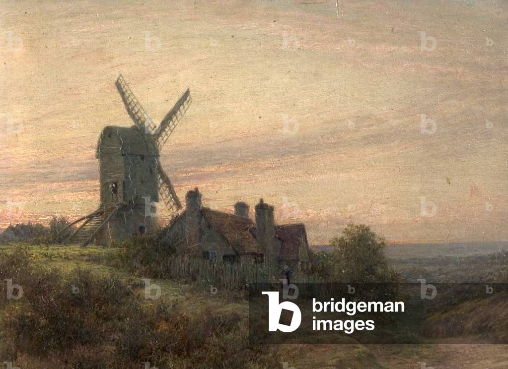 Nottingham Forest and Windmill (oil on wood)