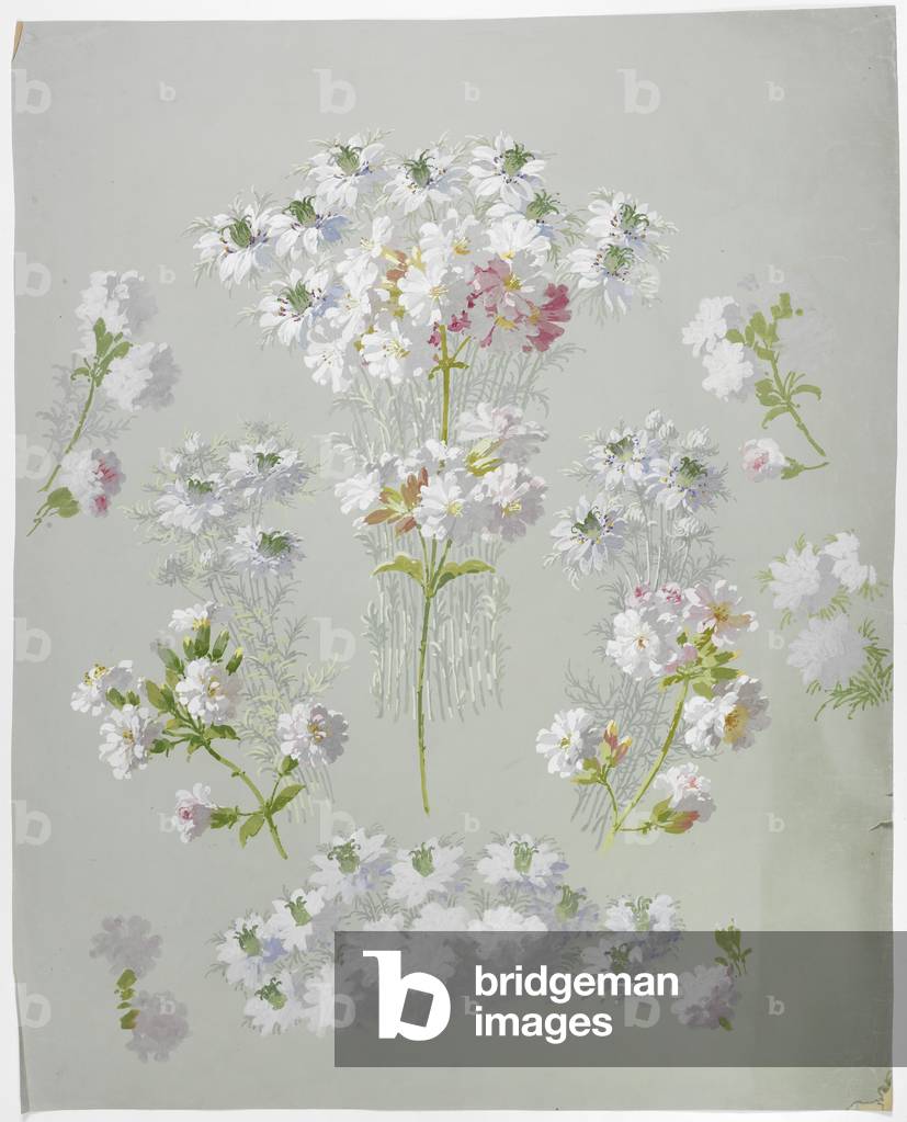 Teppichdesign (w/c auf Papier)