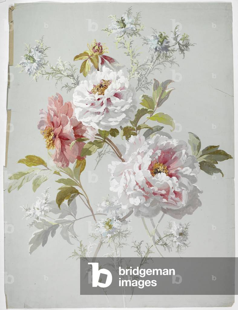 Teppichdesign (w/c auf Papier)