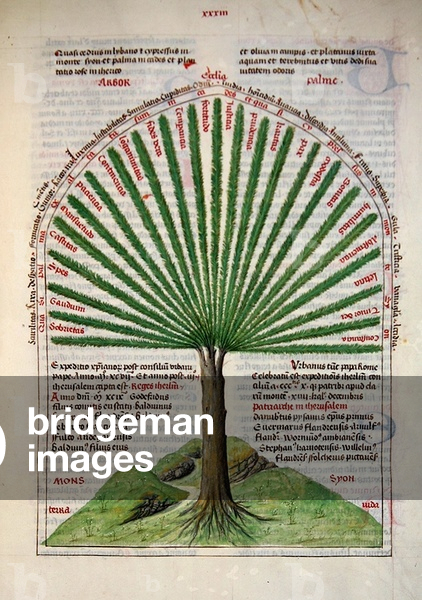 The mystic palm on Mount Zion, symbolising the church, from 'Liber Floridus' by Lambert de Saint-Omer, c.1448 (vellum)