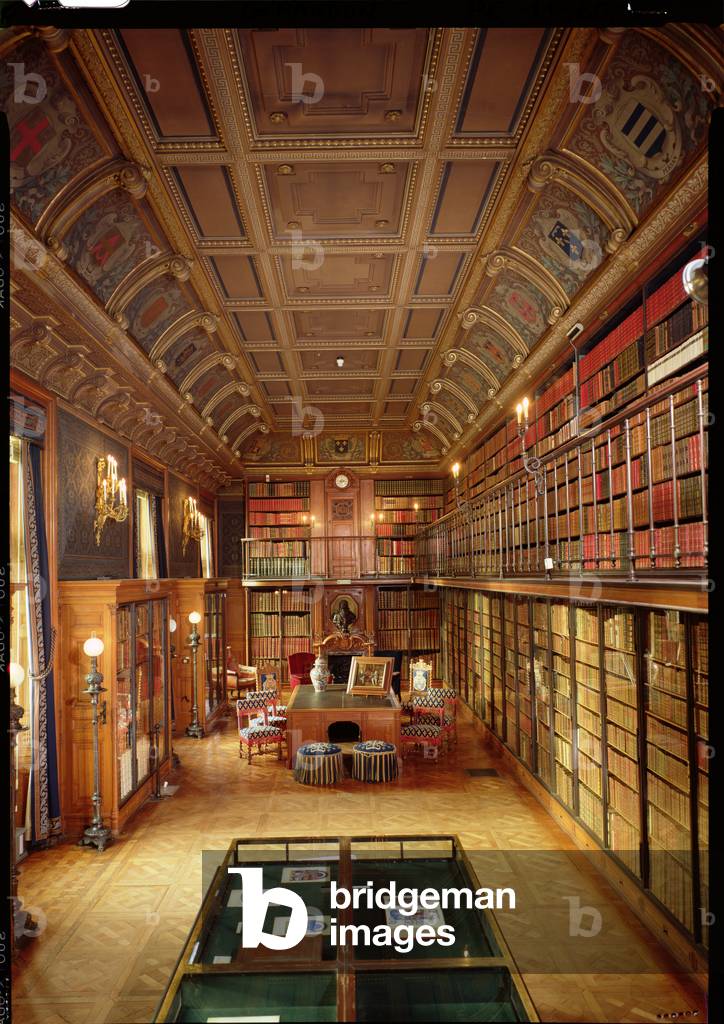 View of the 'Cabinet des Livres' in the Chateau (photo)