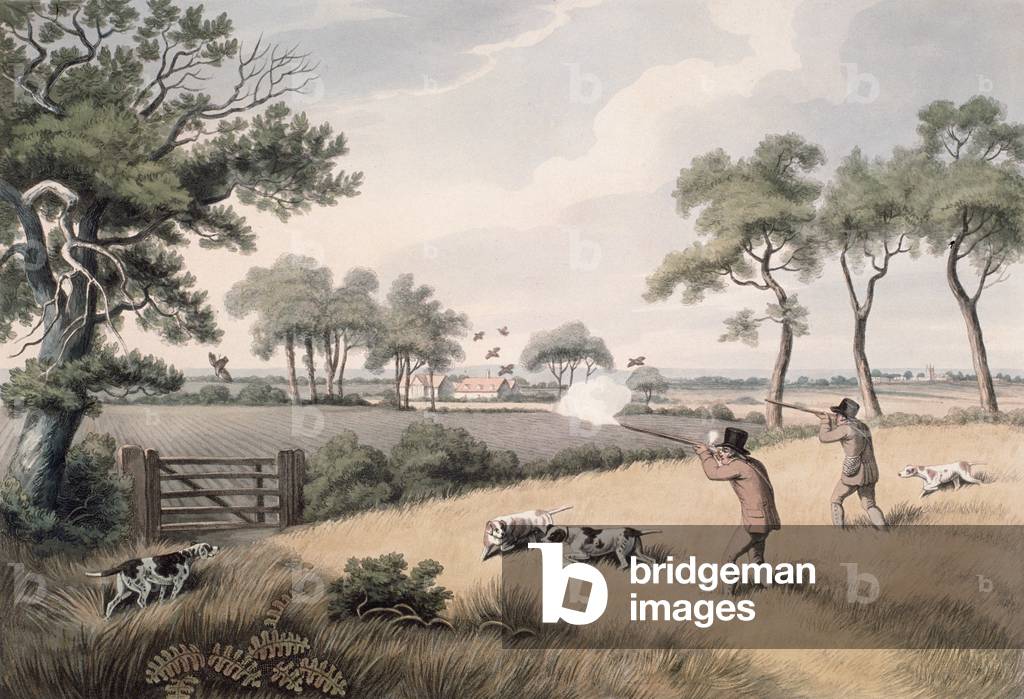 Tiro alla pernice da "Orme's Collection of British Sporting Prints" inciso da William Samuel Howitt (1765-1822