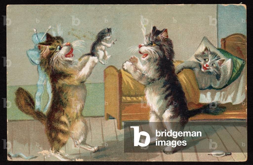 Nascita di un gattino. (cromo)