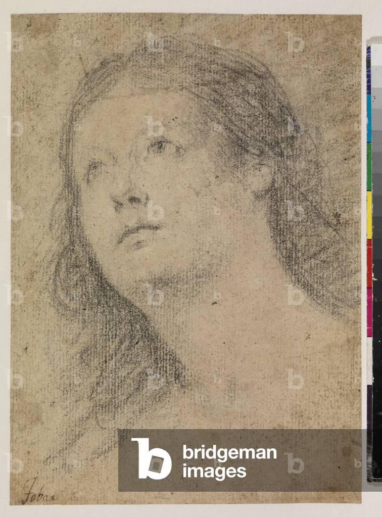 Head of a woman gazing up (recto), 18th century (black chalk on laid paper) [see 5948343]