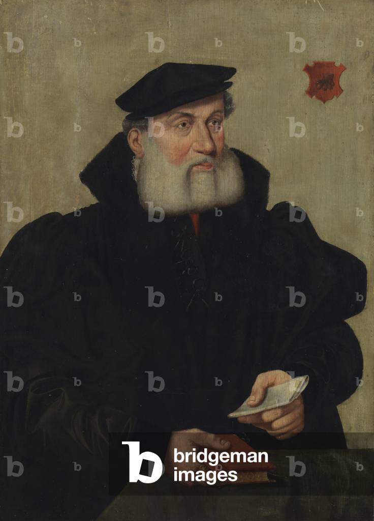 Portrait of Wilhelm Kannengieser, 1550 (oil on panel)