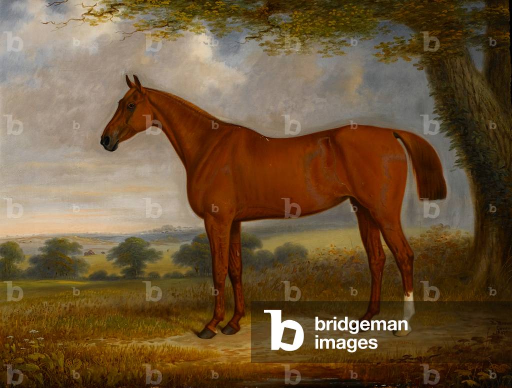 Chestnut Hunter in a Landscape, 1867 (oil on canvas)