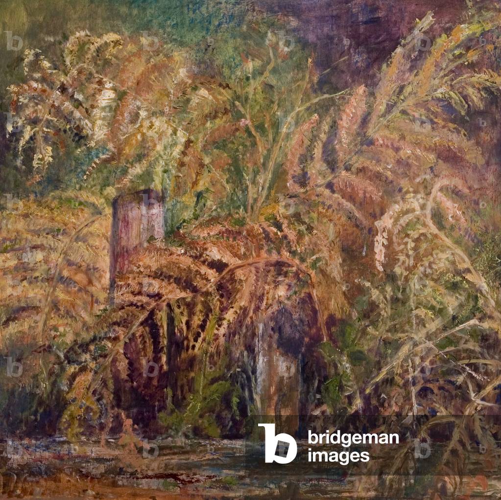 Bracken, 1980 (oil on board)