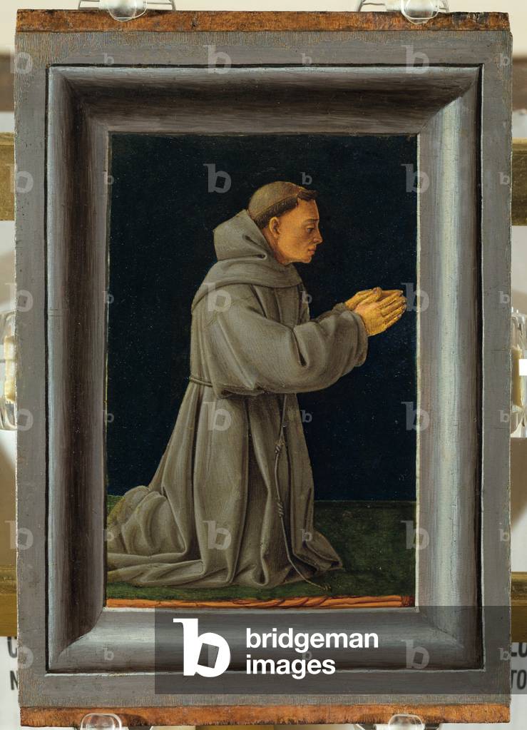 St. Francis in prayer (oil on canvas)
