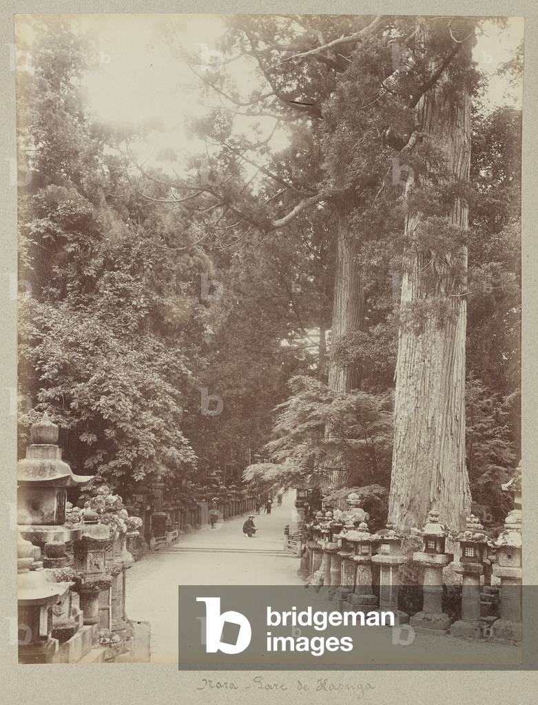 Nara - Kasuga Park - Japan 1880-1910 -