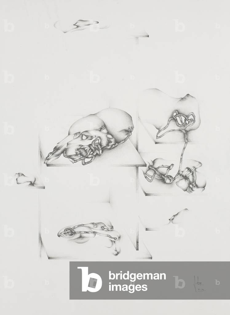 Inventory II - Drawing by Fred Deux (1924-2015), pencil on paper, 59.5 x 42 cm, 1975 - Musee Cantini