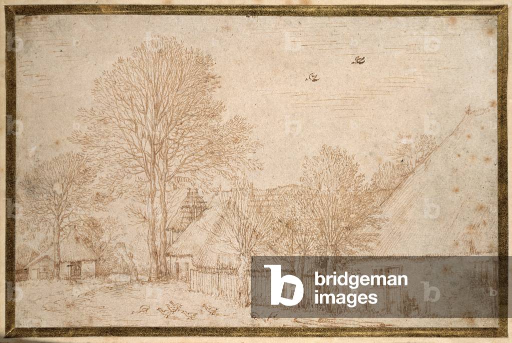 Thatched buildings, almost bare trees and a flock of geese (pen & ink on paper)