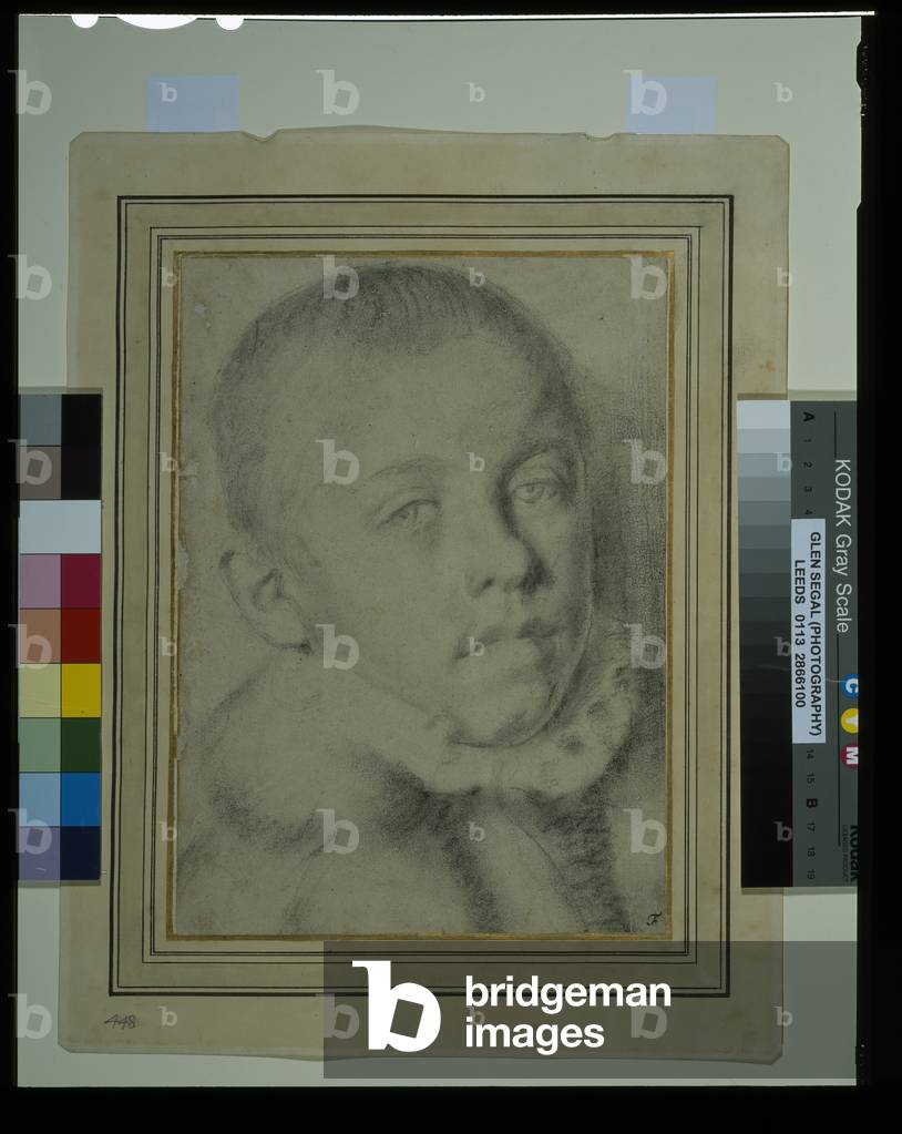 Portrait-head of a young boy (black chalk & charcoal on paper)