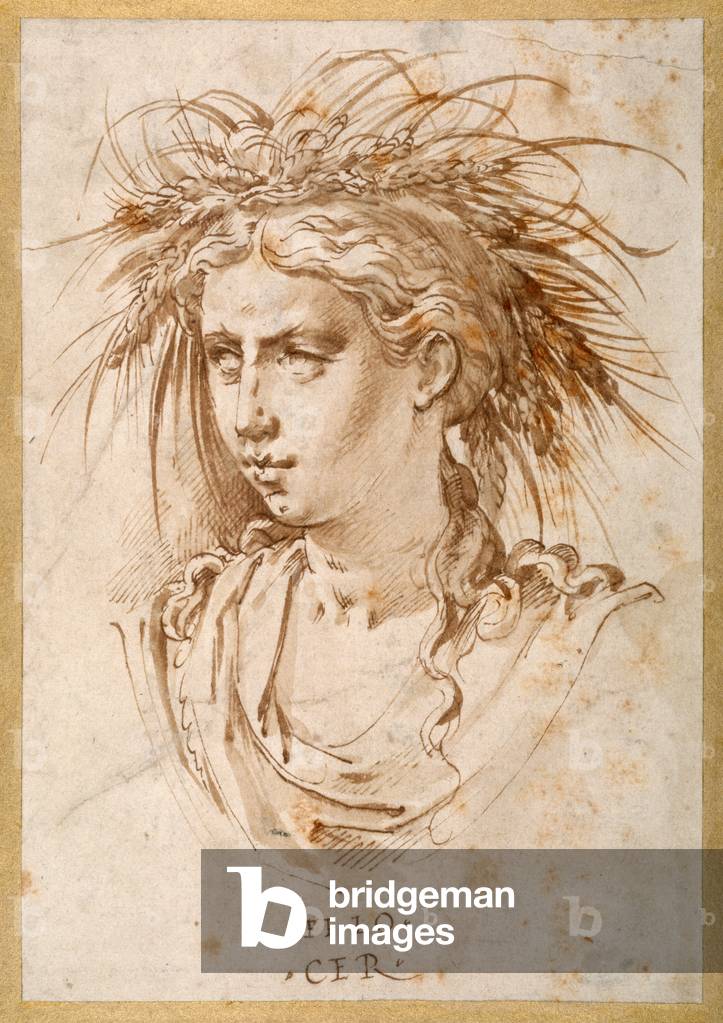 Head of Ceres (pen & brown ink on paper)