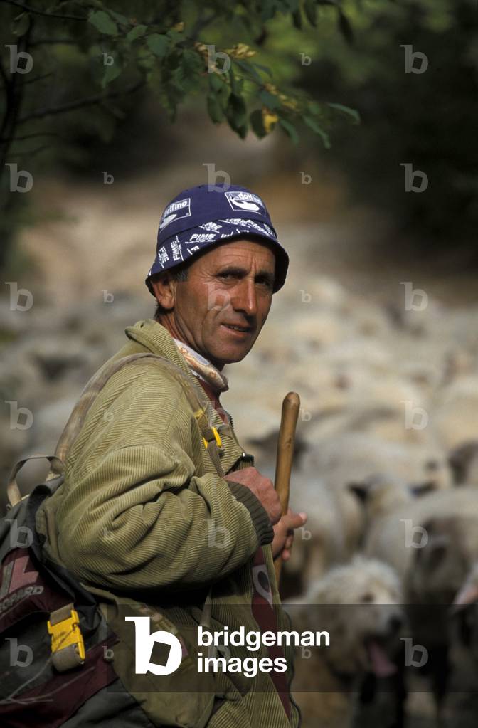 Ossoli farm, shepherd, Pagliano, Matelica, Marche, Italy