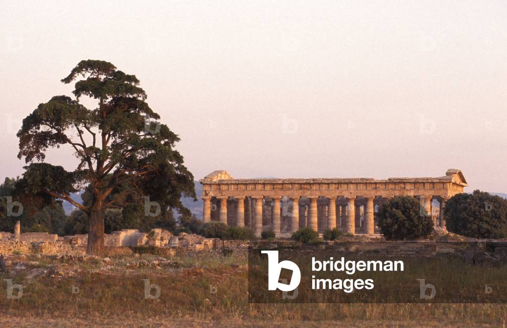 Nettuno temple, Paestum archaeological area, Campania, Italy